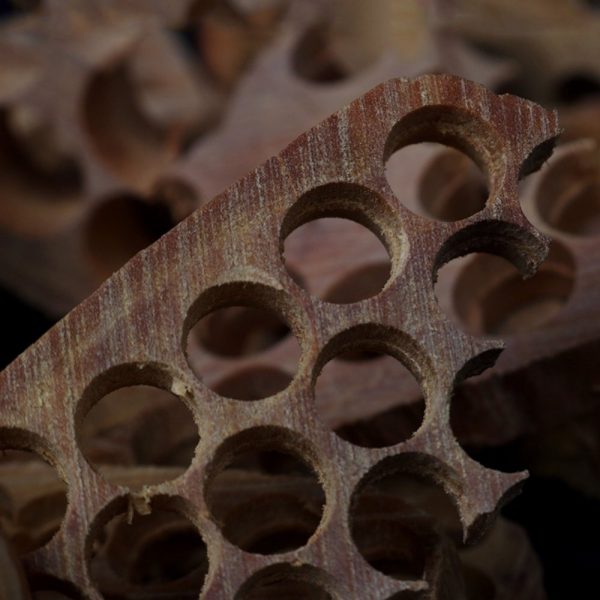 Premium-Natural-Indian-Mysore-Aromatic-Incense-Wild-Sandalwood-Chips-for-Sale-1-2.jpg Premium Natural Indian Mysore Aromatic Incense Wild Sandalwood Chips for Sale