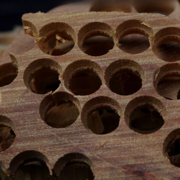 Premium-Natural-Indian-Mysore-Aromatic-Incense-Wild-Sandalwood-Chips-for-Sale-1-3.jpg Premium Natural Indian Mysore Aromatic Incense Wild Sandalwood Chips for Sale